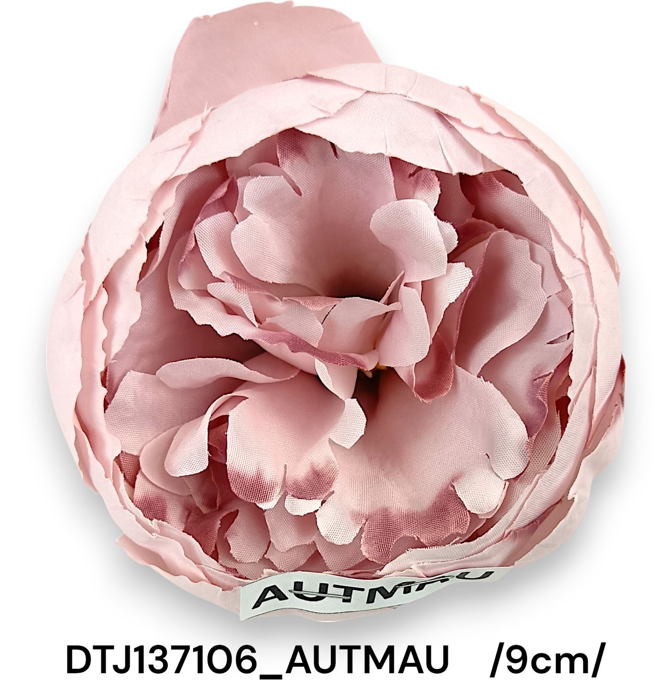 DTJ137106_AUTMAU