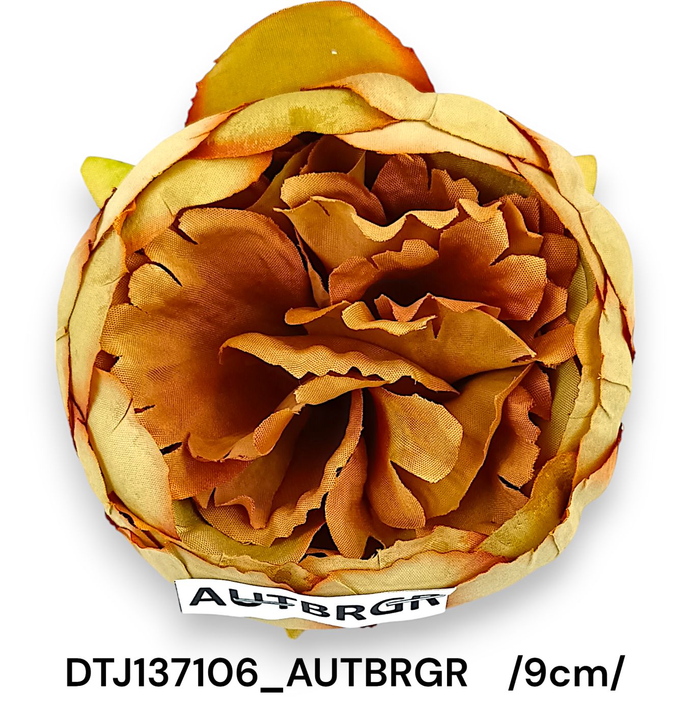 DTJ137106_AUTBRGR