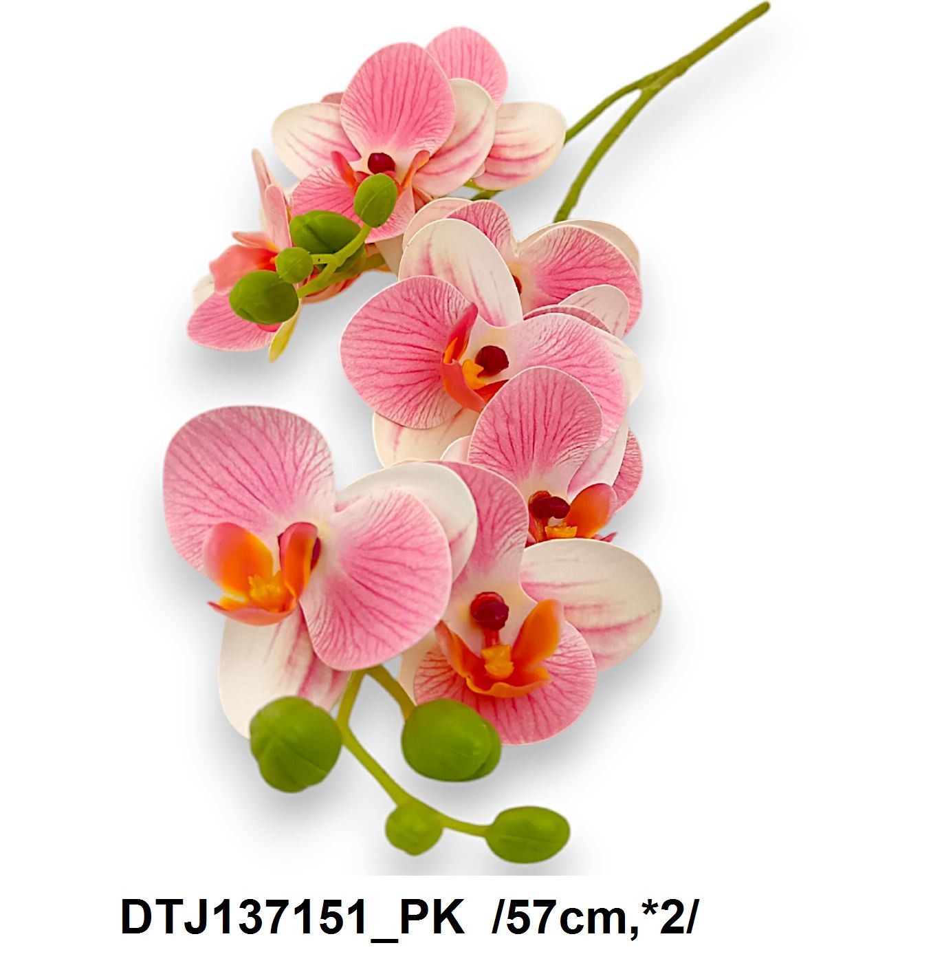 DTJ137151_PK