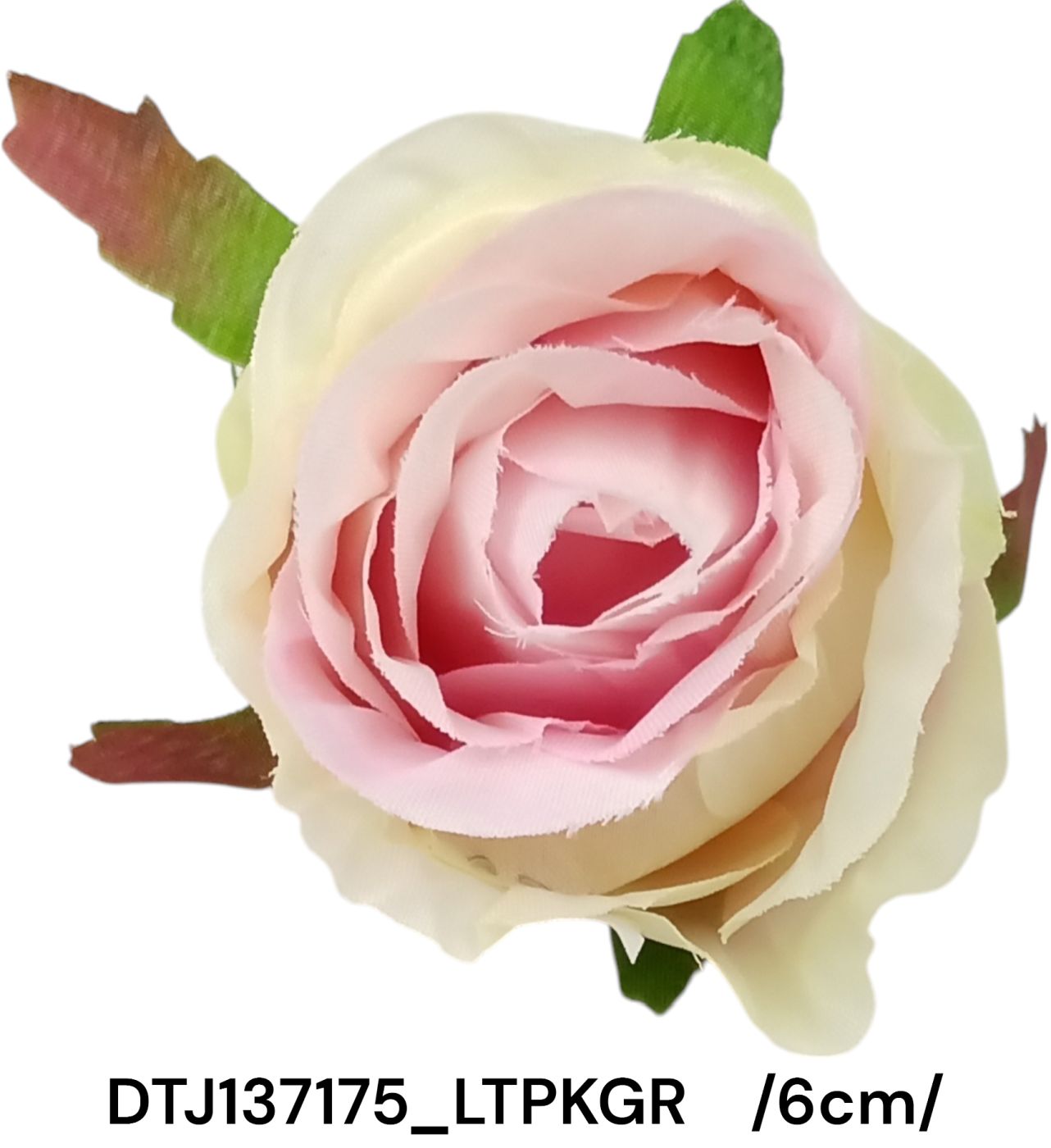 DTJ137175_LTPKGR