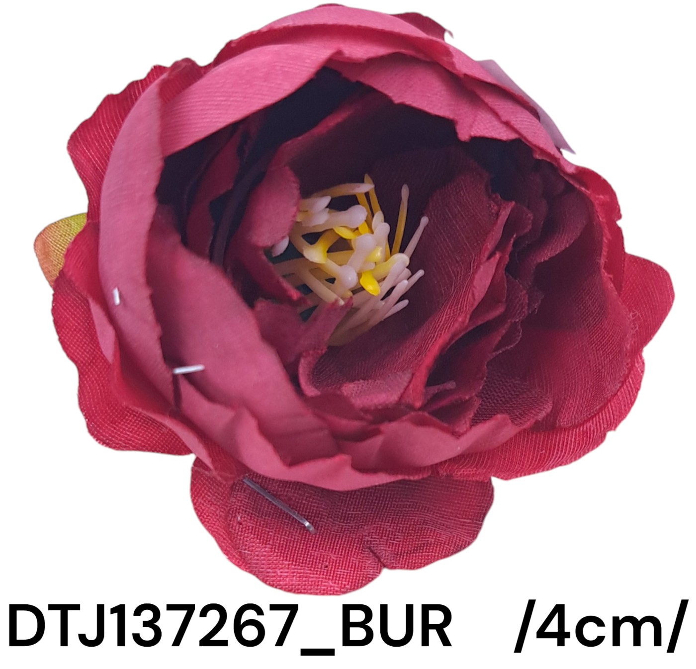 DTJ137267_BUR