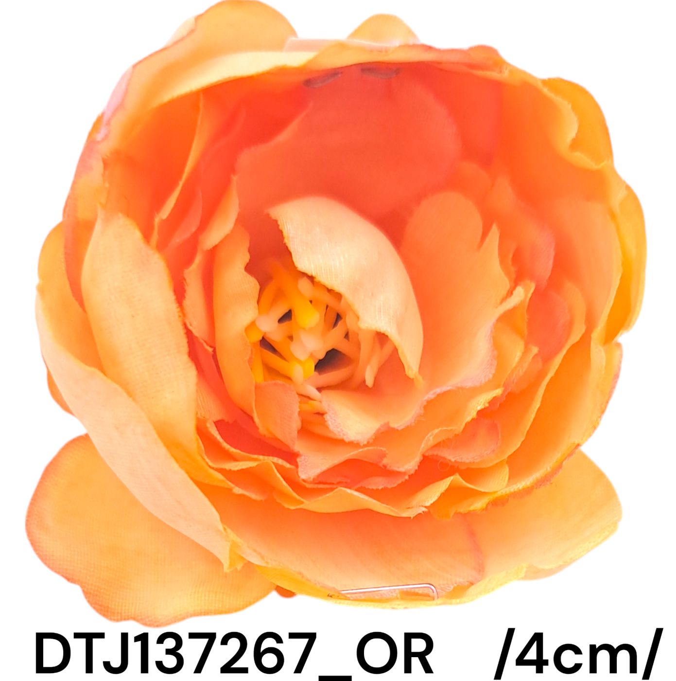 DTJ137267_OR