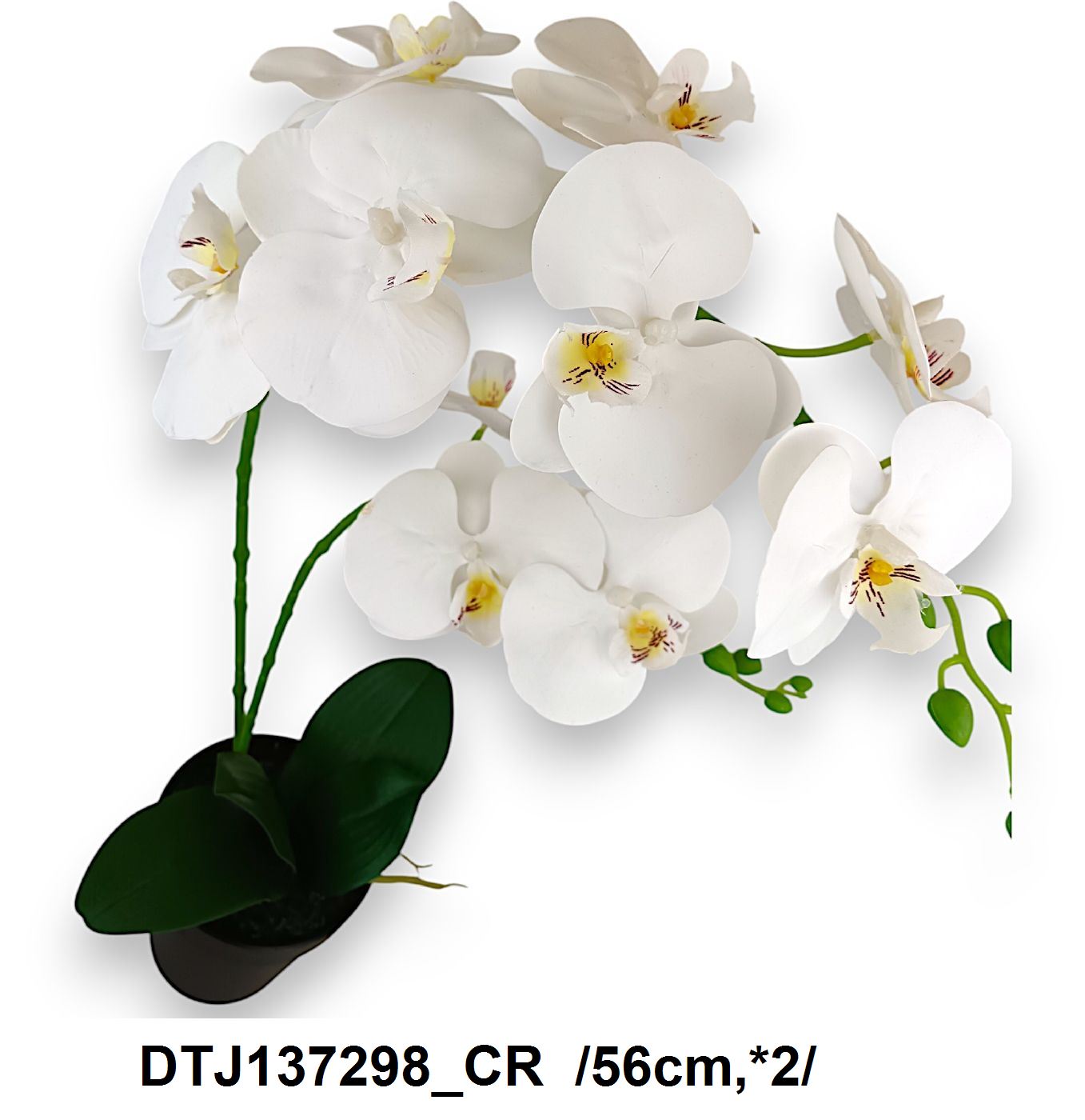 DTJ137298_CR