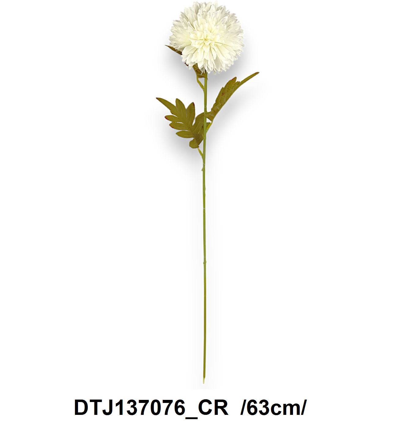 DTJ137076_CR