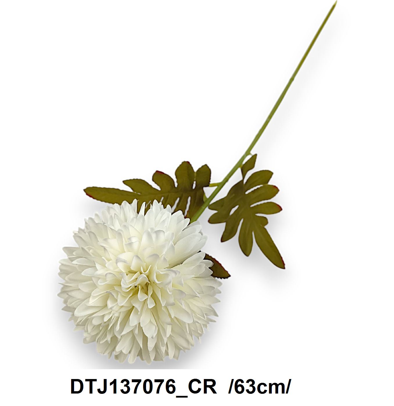 DTJ137076_CR