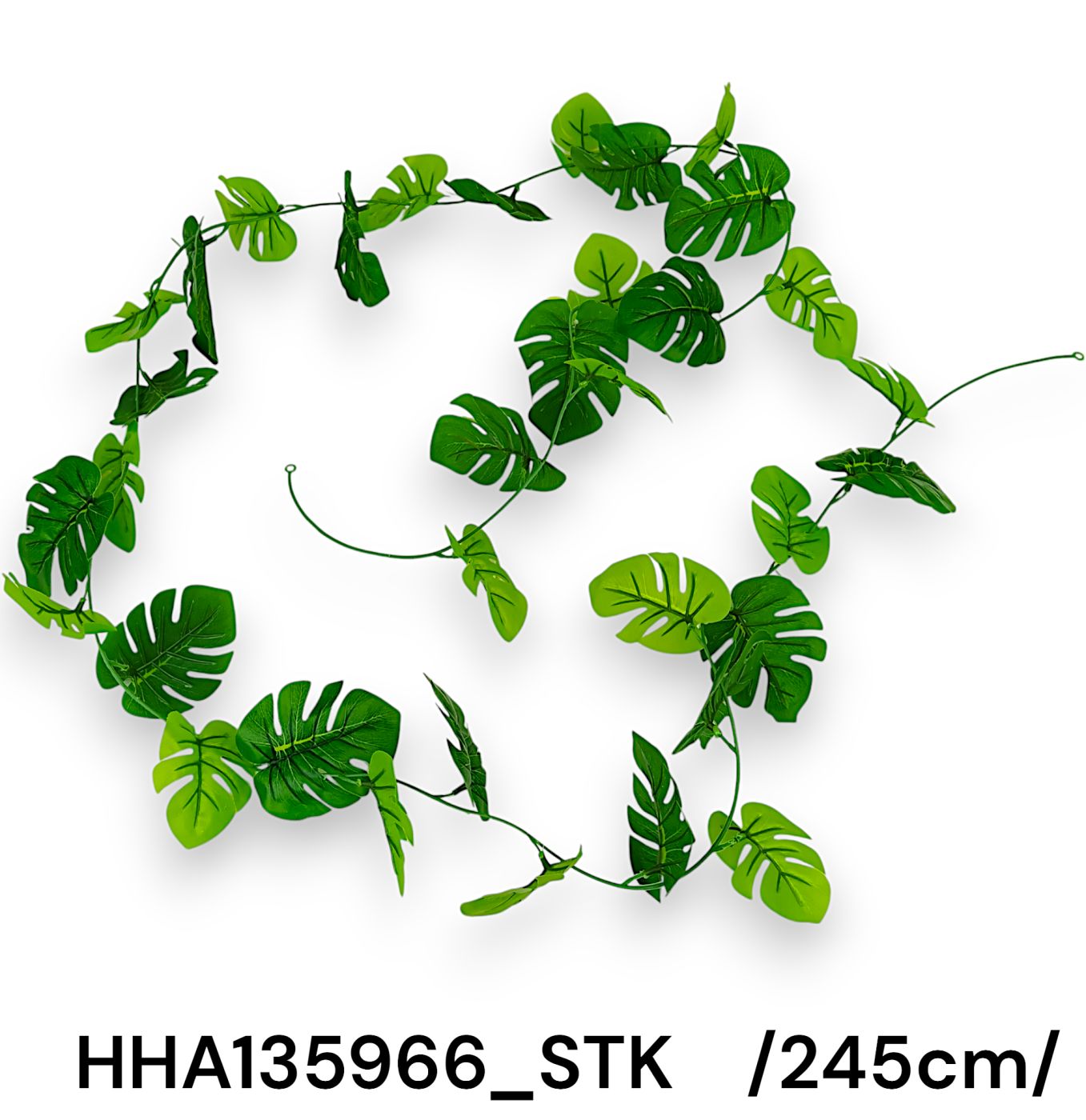 HHA135966_STK