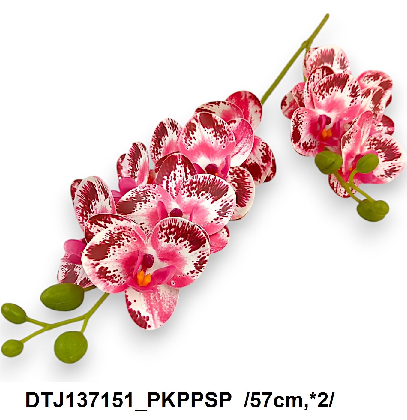 DTJ137151_PKPPSP