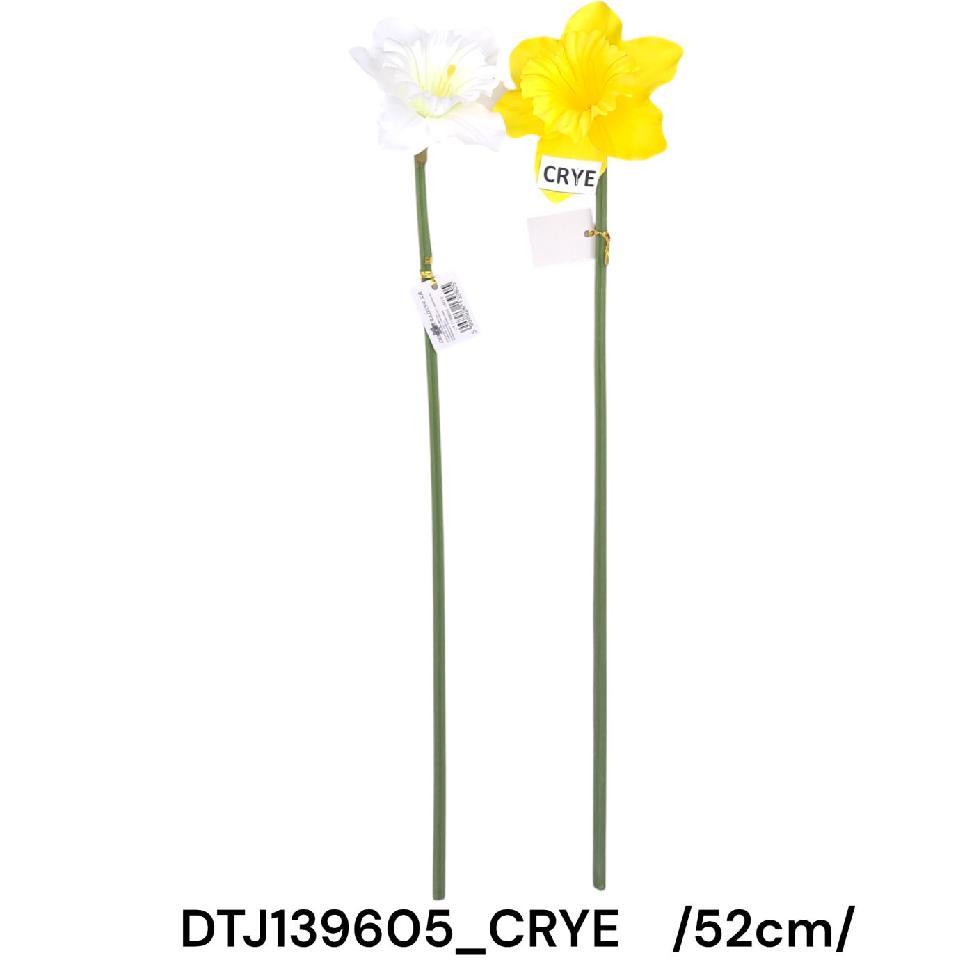 DTJ139605_CRYE