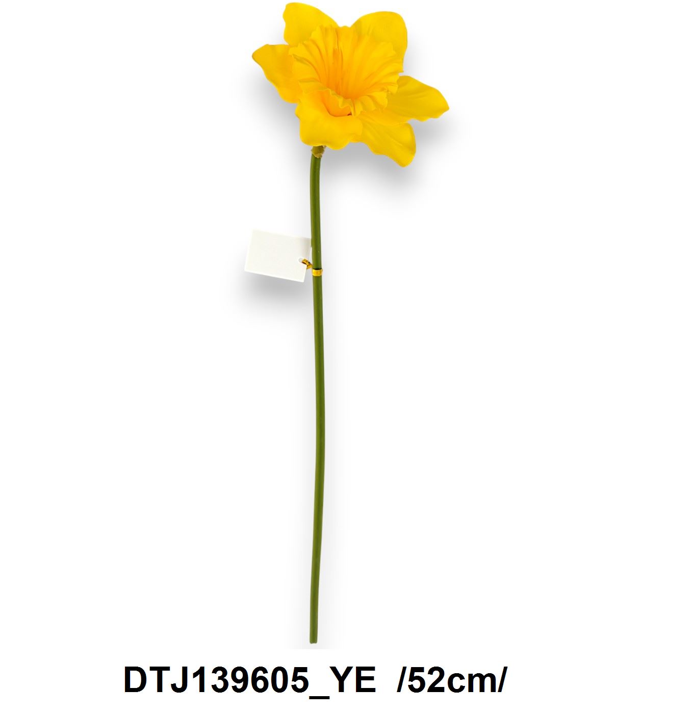 DTJ139605_YE