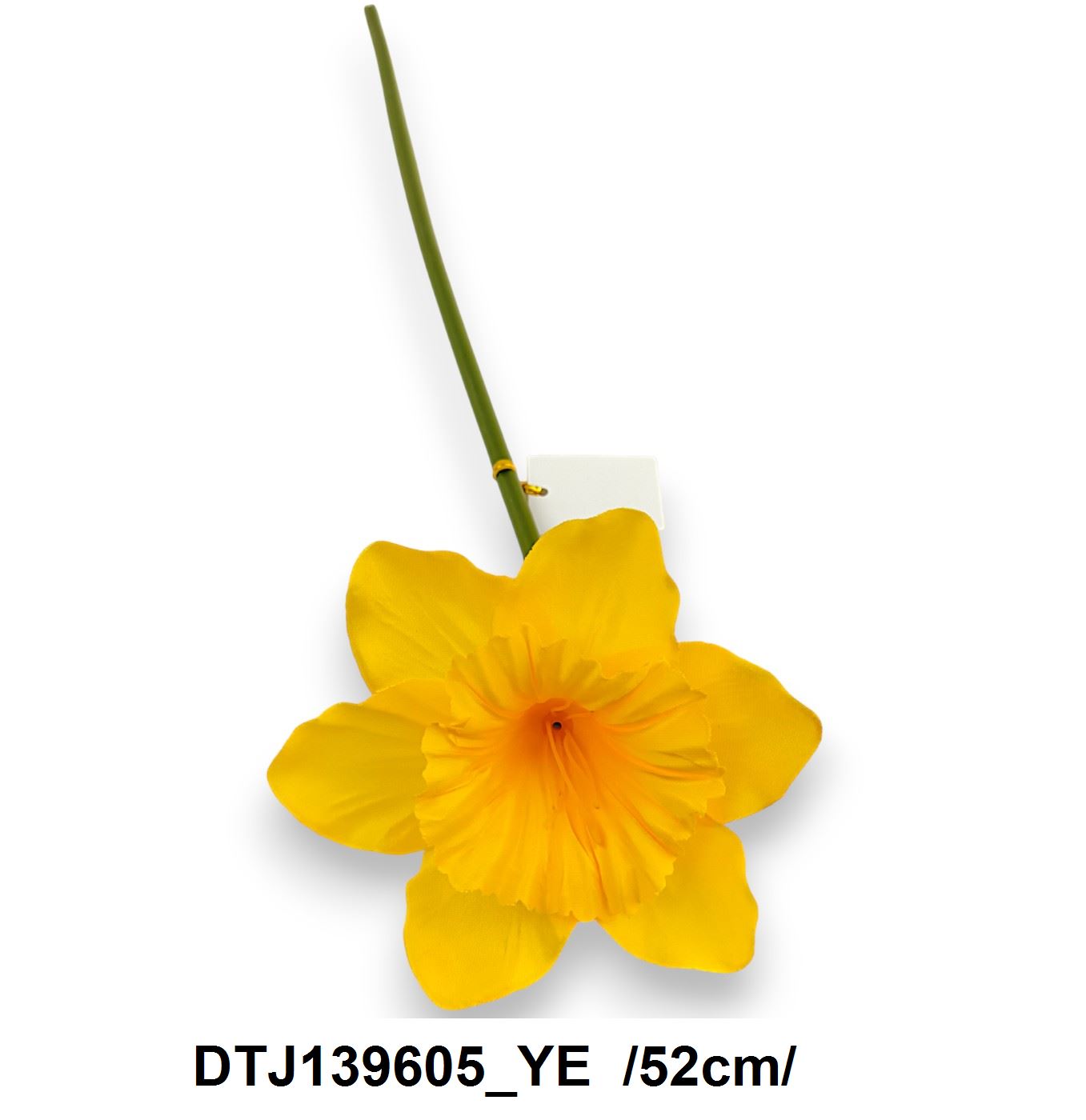DTJ139605_YE