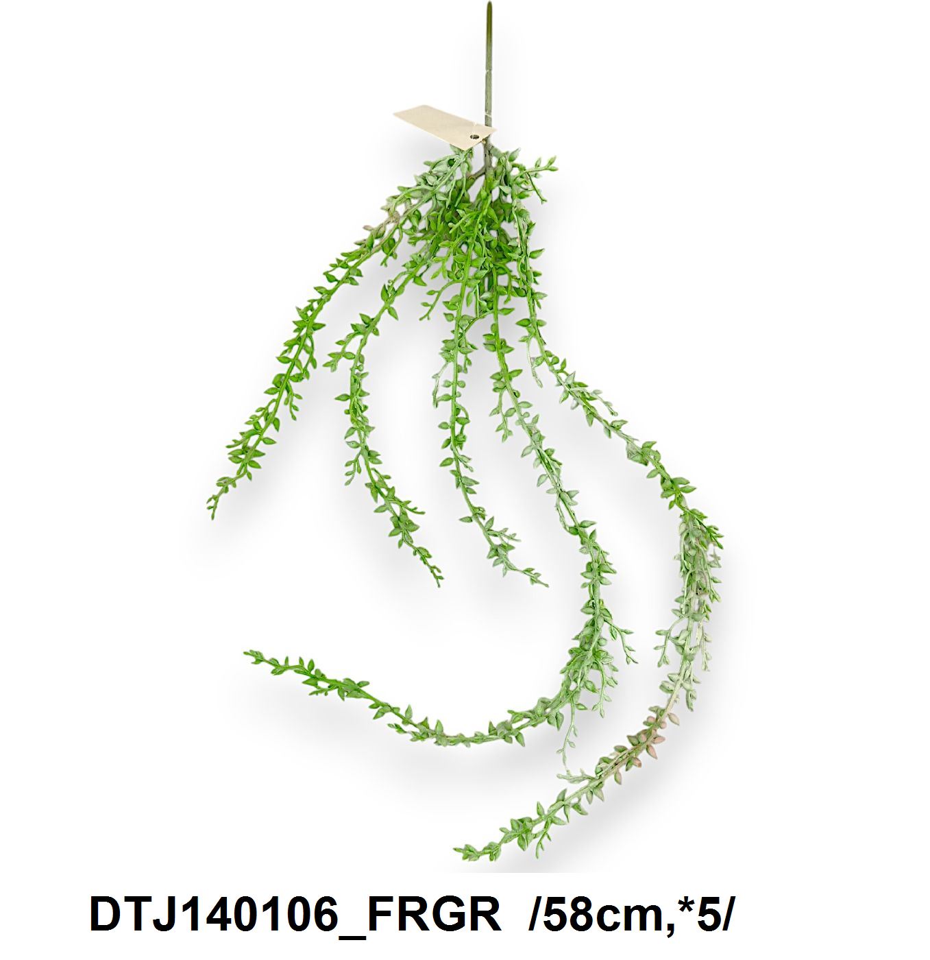 DTJ140106_FRGR