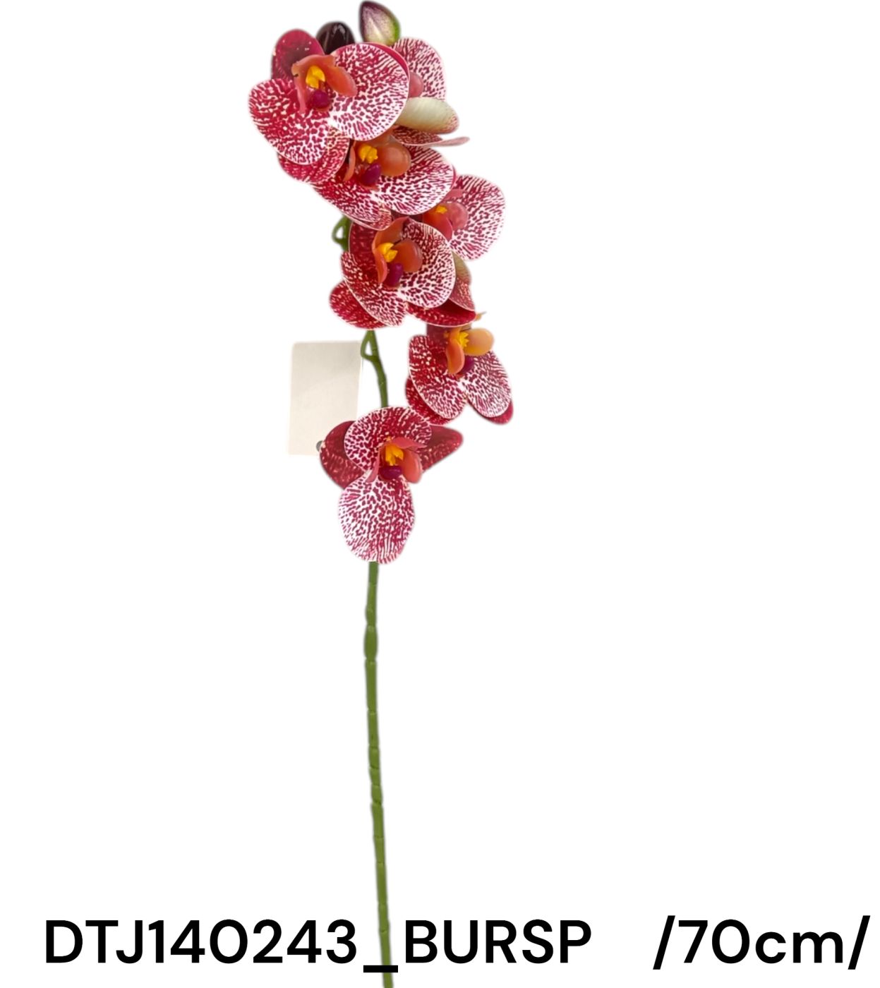 DTJ140243_BURSP