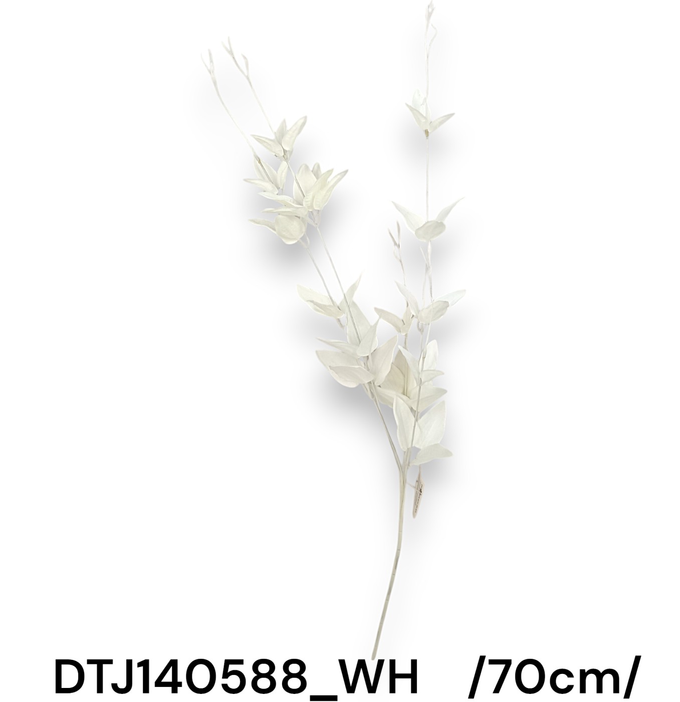 DTJ140588_WH