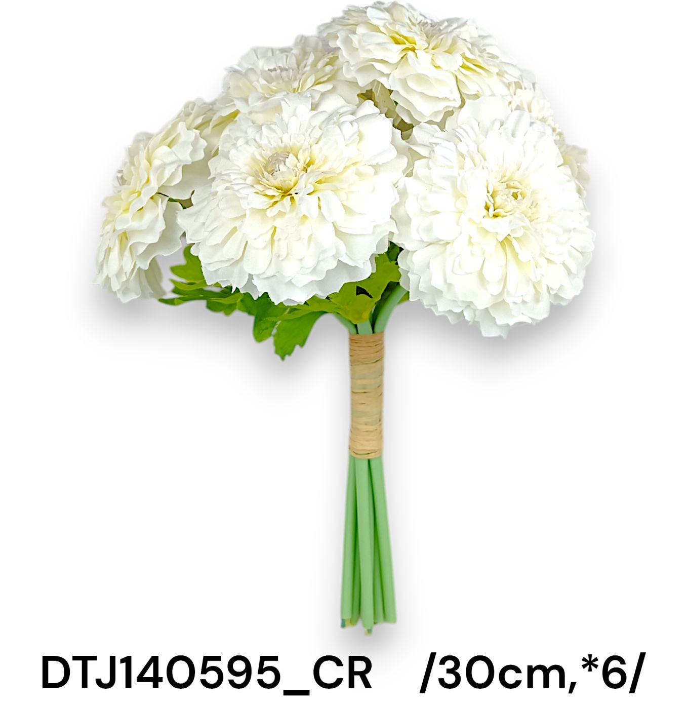DTJ140595_CR