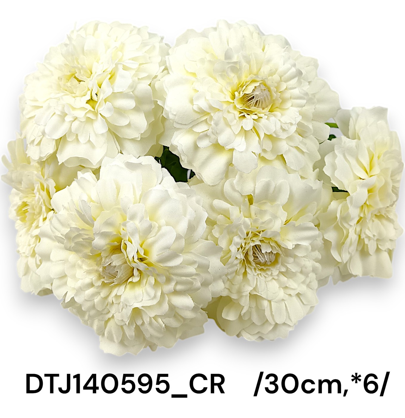 DTJ140595_CR