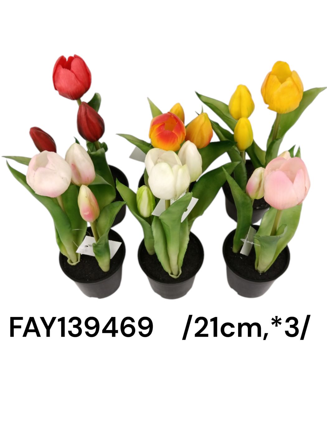 FAY139469