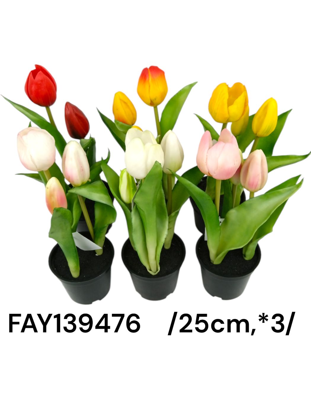FAY139476