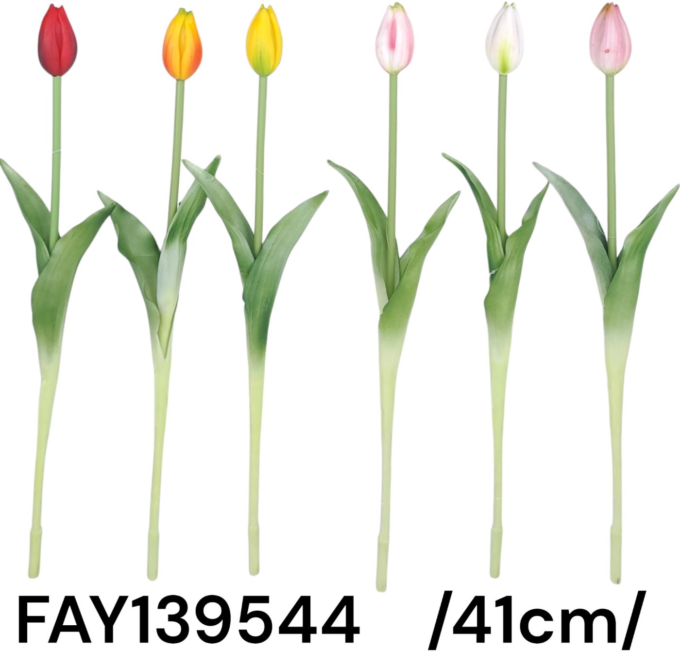 FAY139544