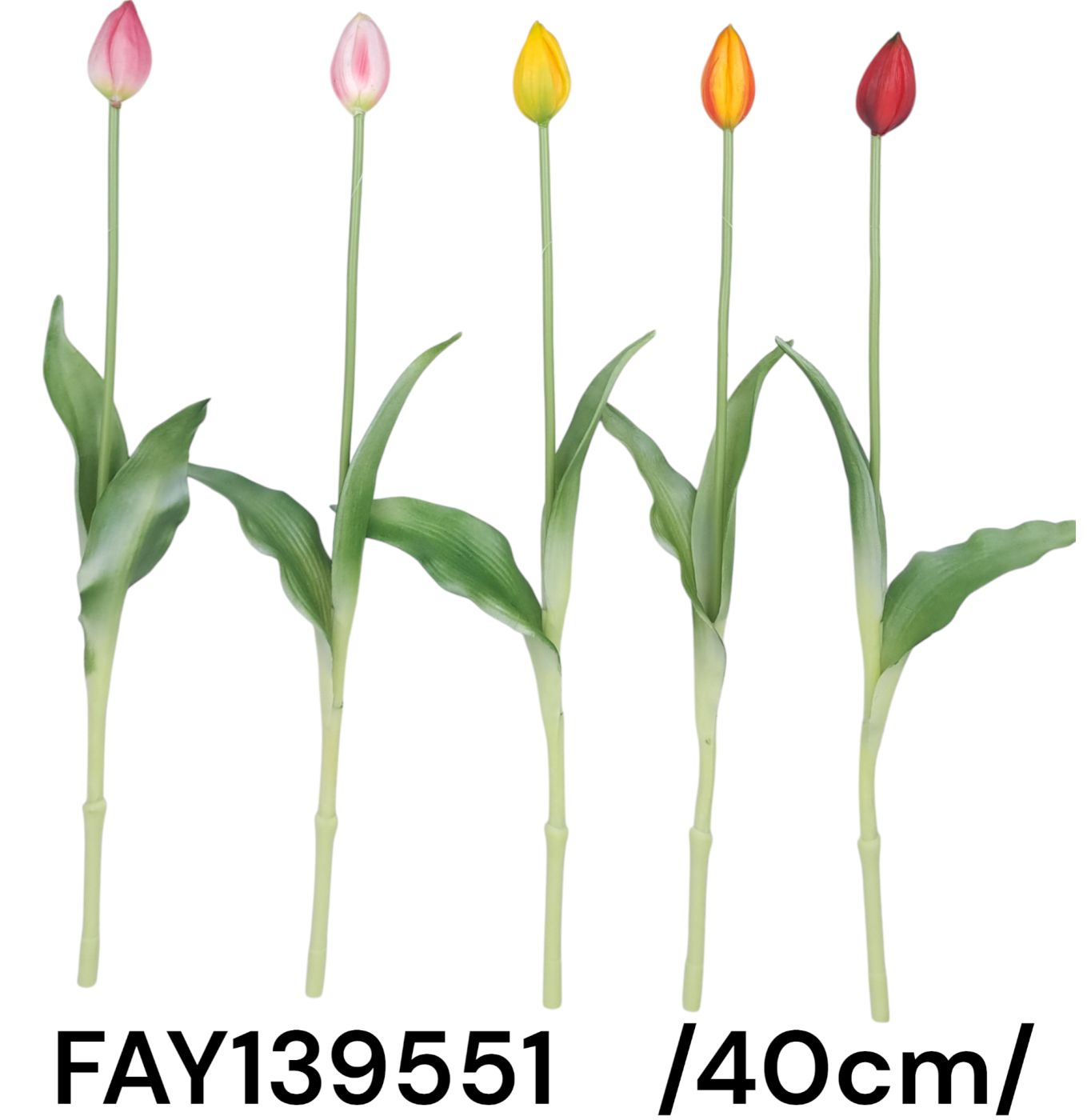 FAY139551