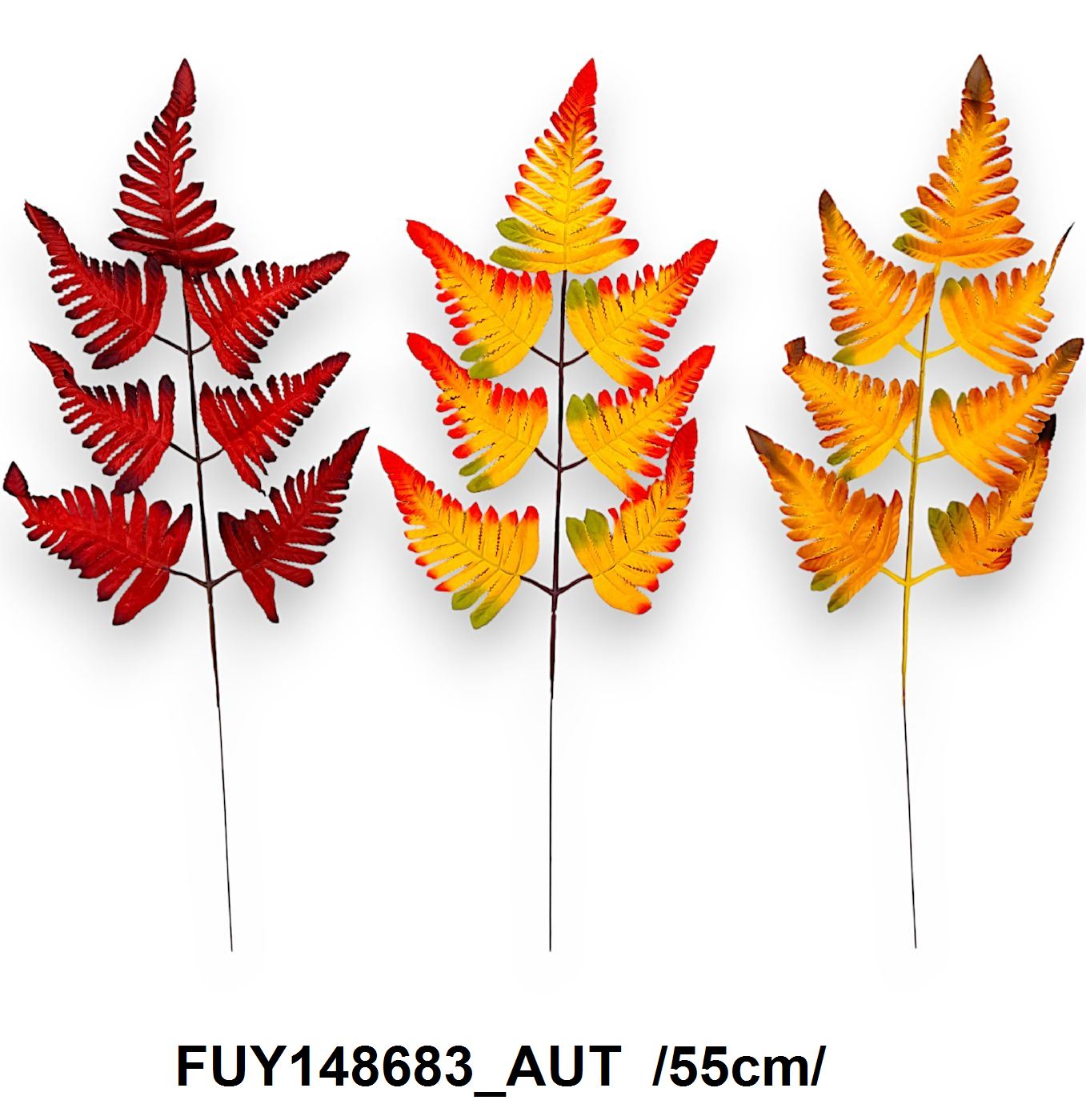 FUY148683_AUT