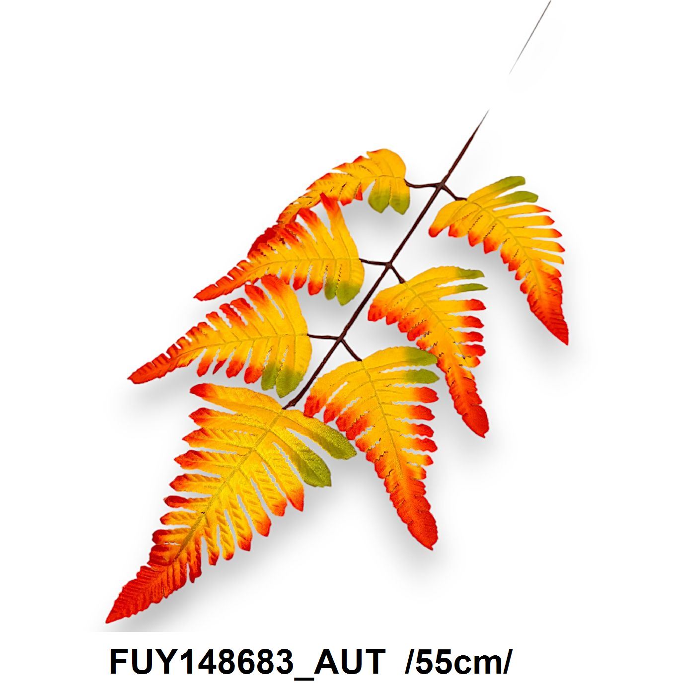 FUY148683_AUT