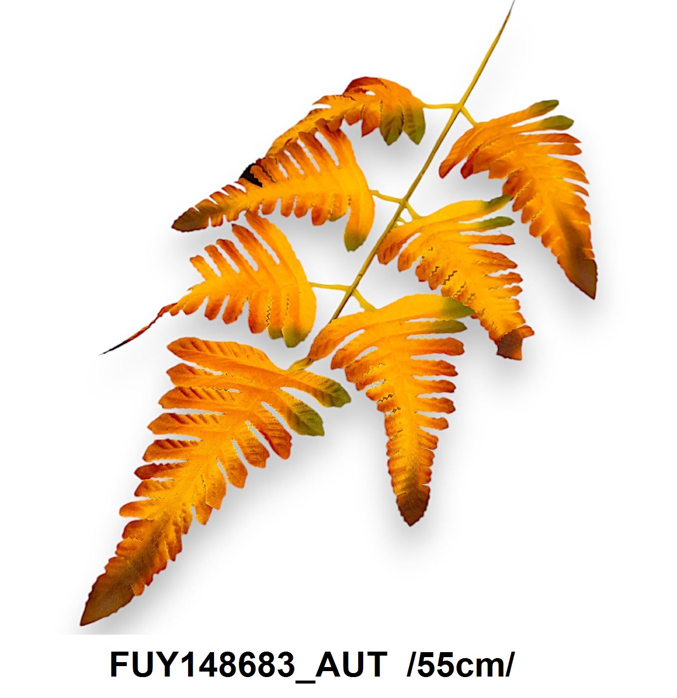 FUY148683_AUT