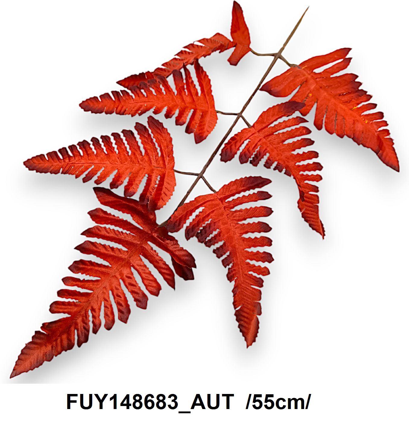 FUY148683_AUT