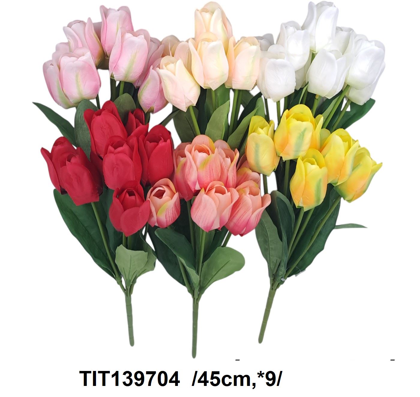 TIT139704
