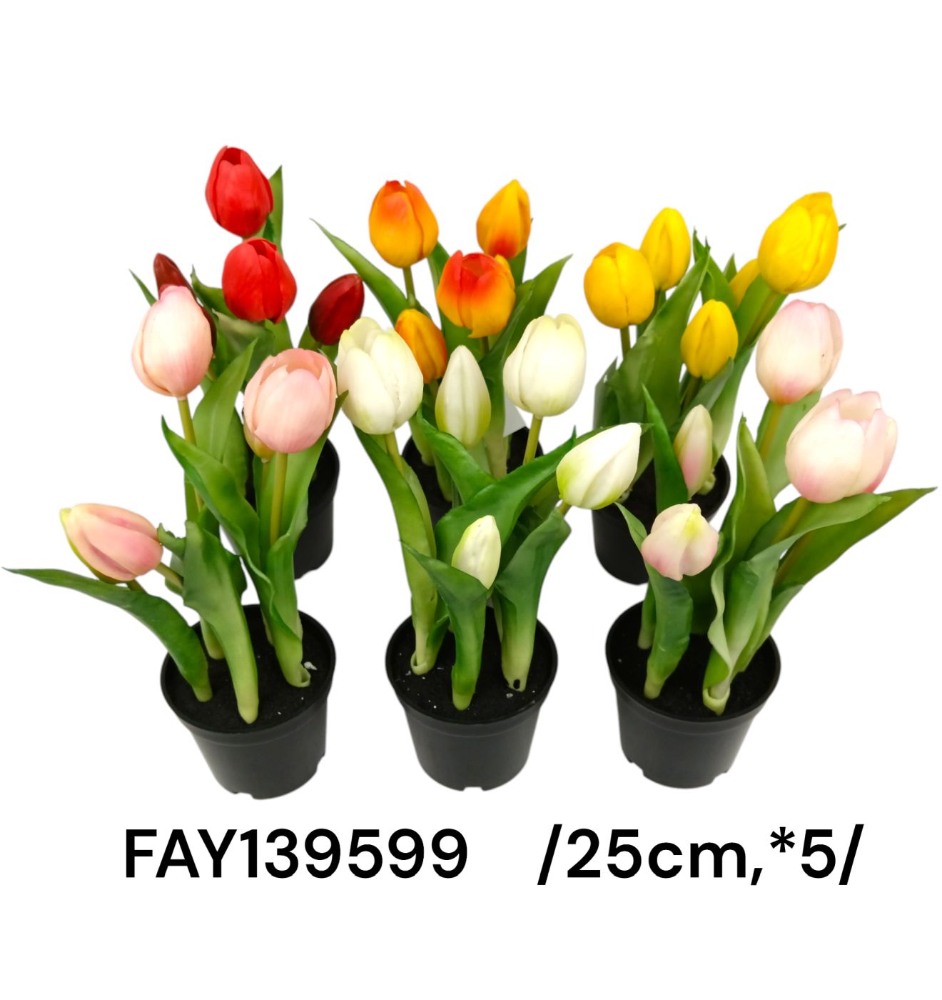FAY139599