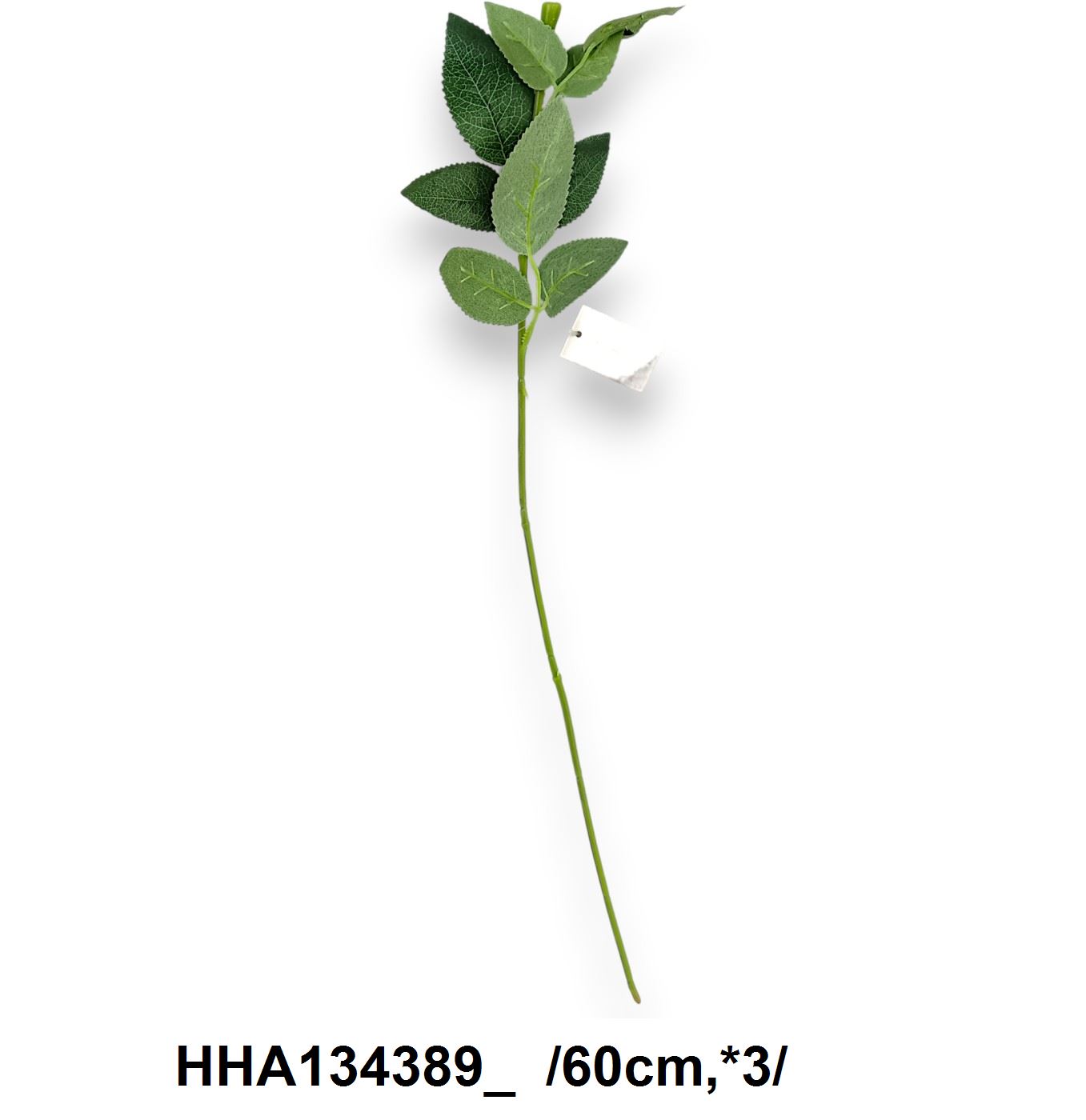 HHA134389_