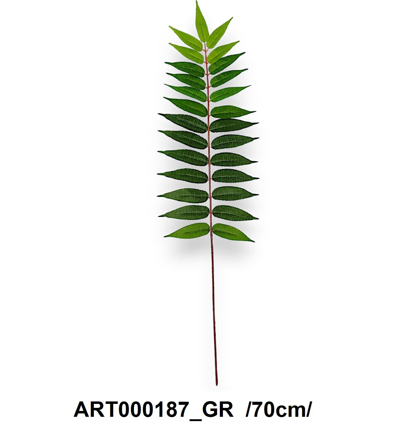 ART000187_GR