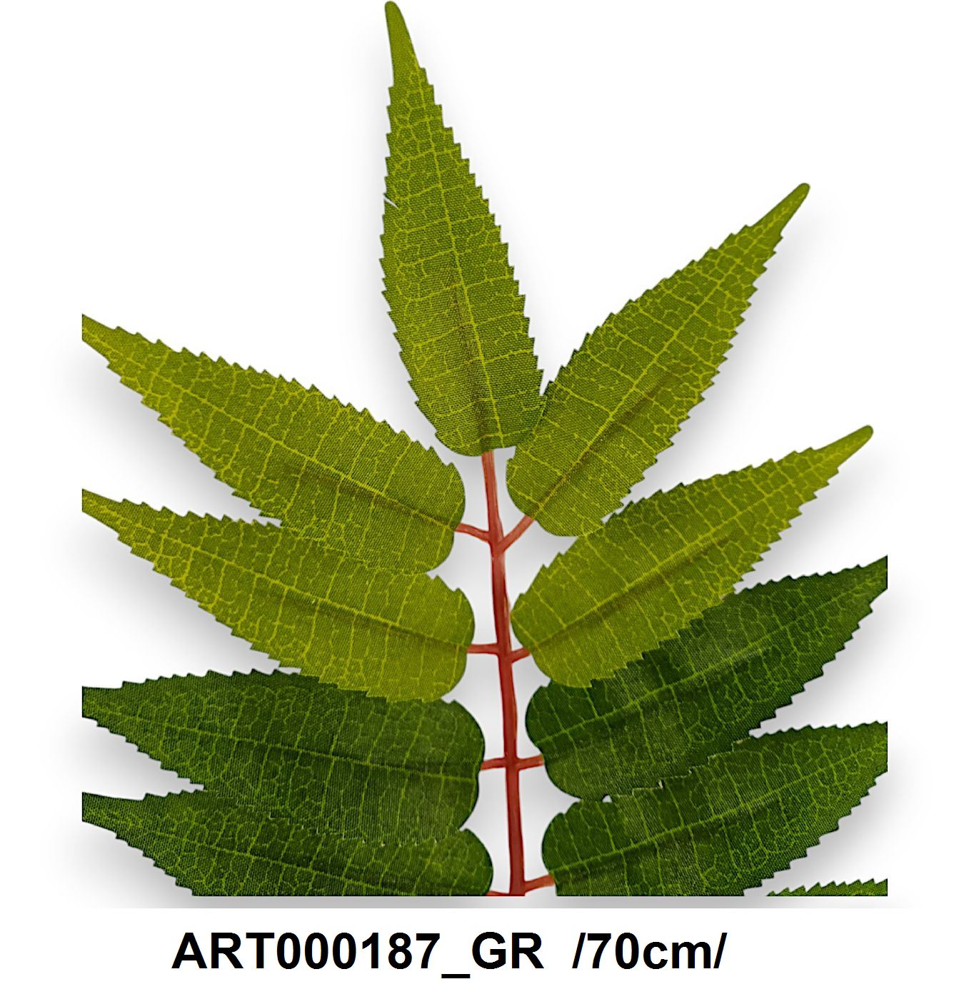 ART000187_GR