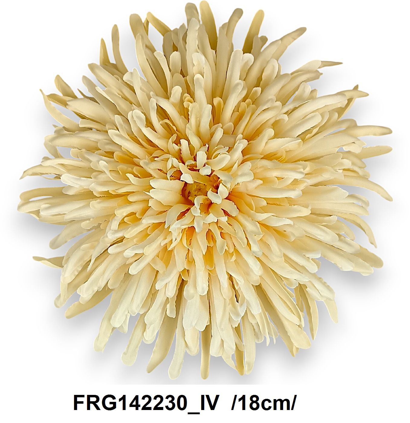 FRG142230_IV