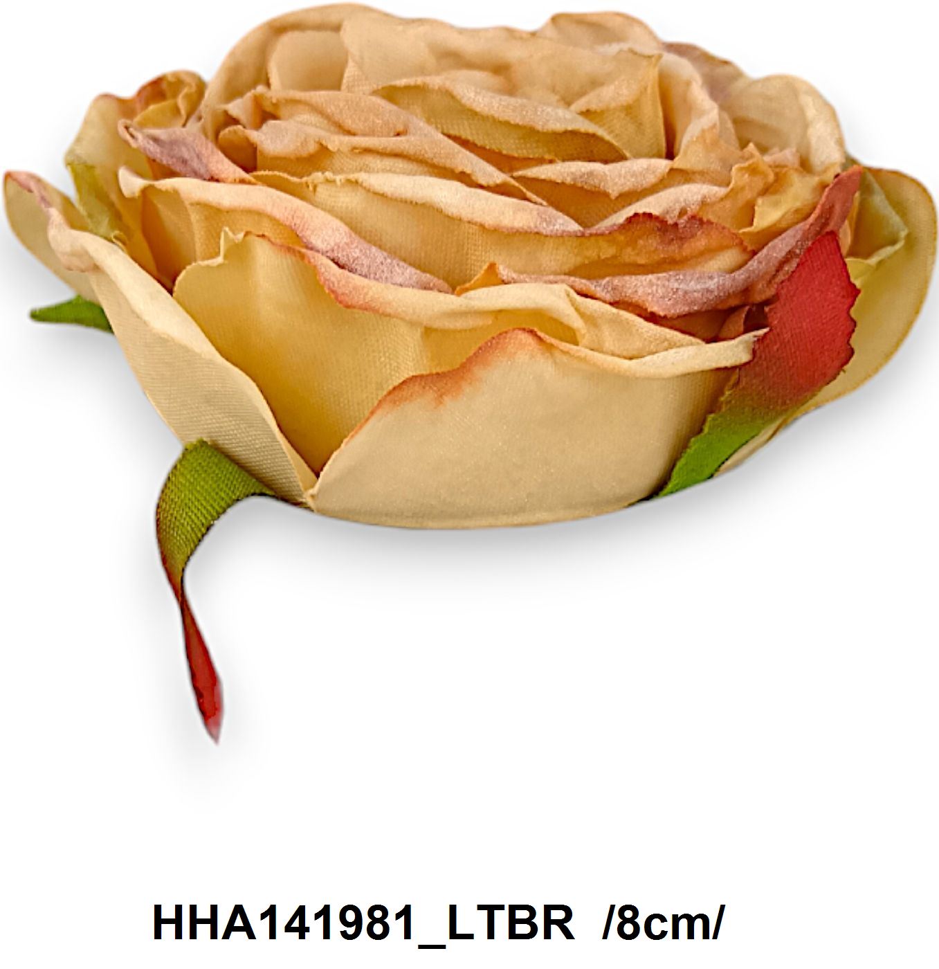 HHA141981_LTBR