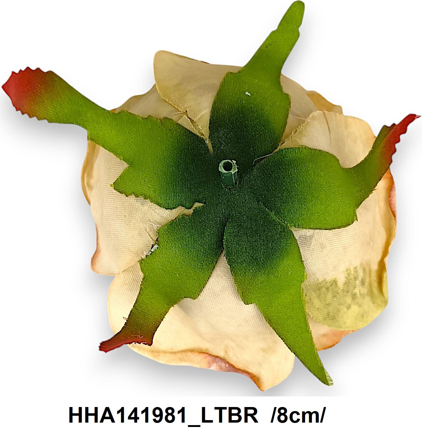 HHA141981_LTBR