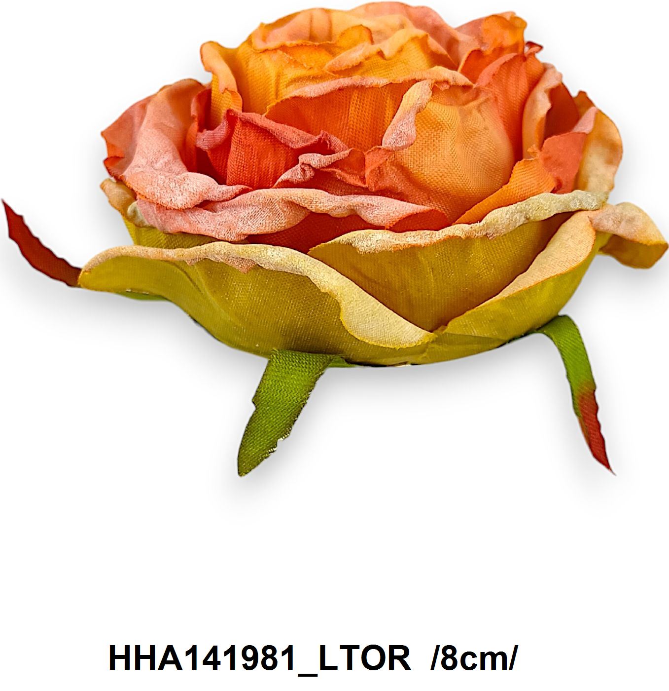 HHA141981_LTOR