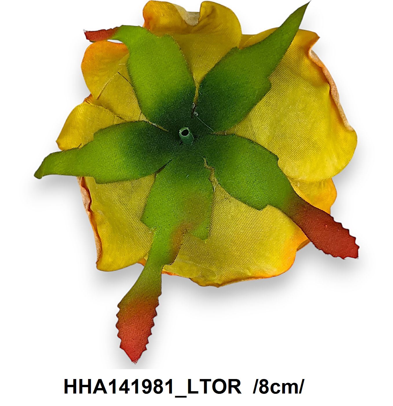 HHA141981_LTOR