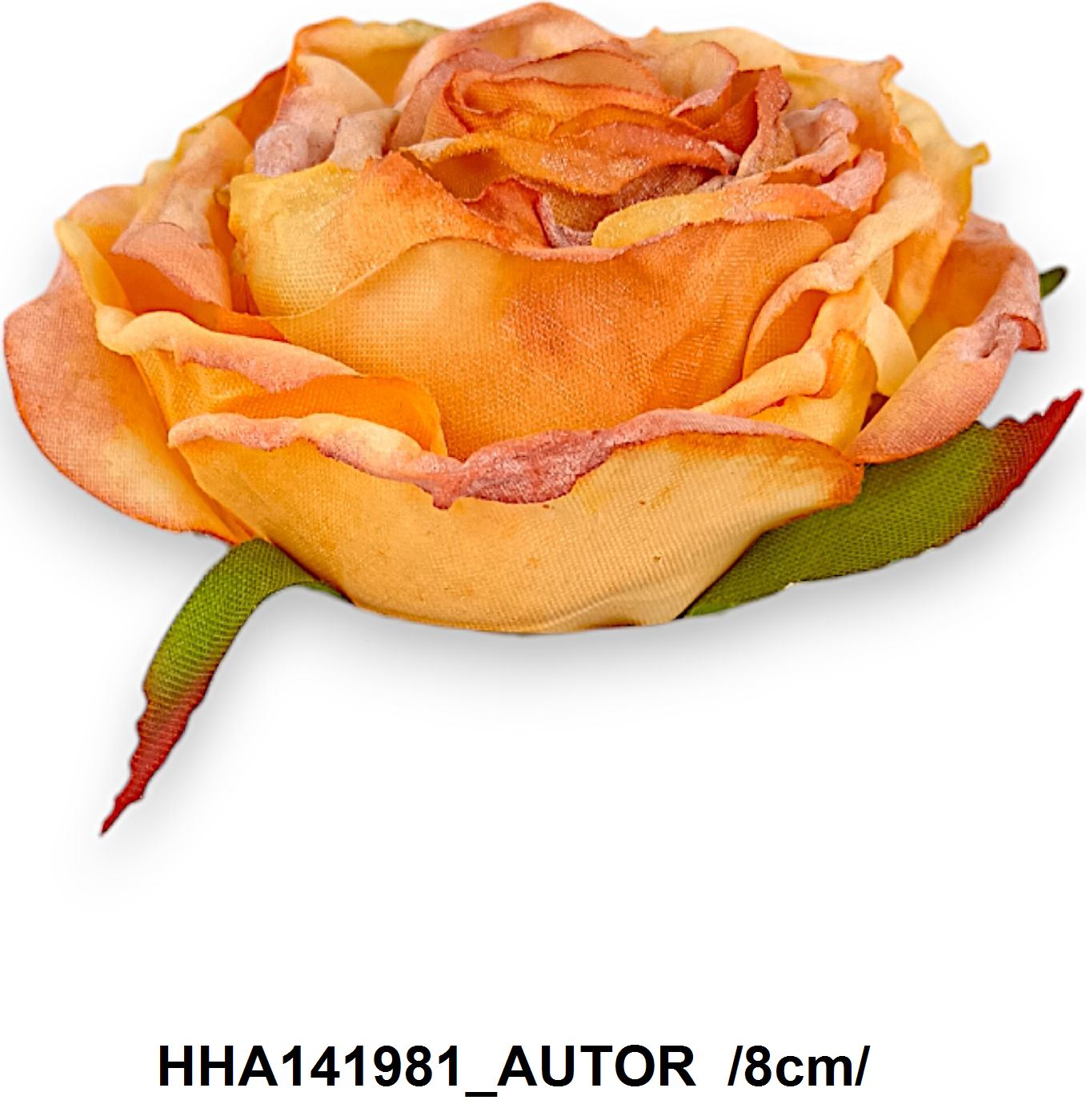 HHA141981_AUTOR