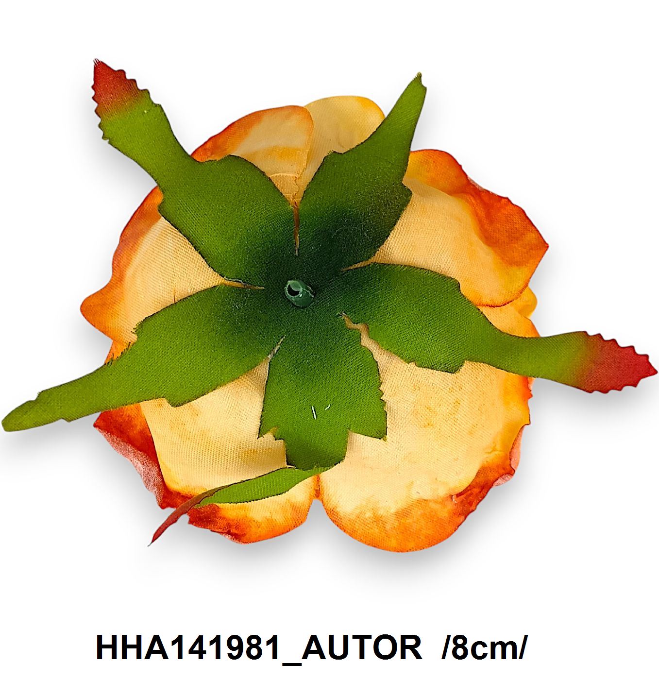 HHA141981_AUTOR