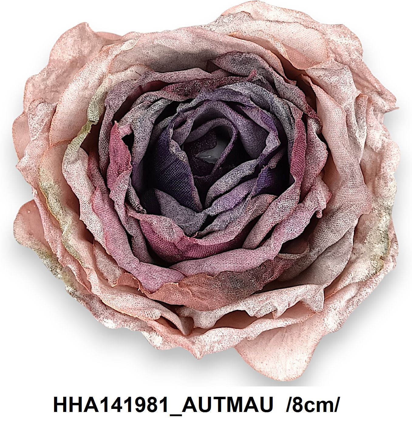 HHA141981_AUTMAU