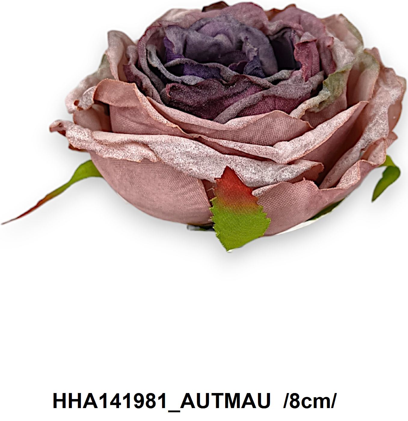HHA141981_AUTMAU