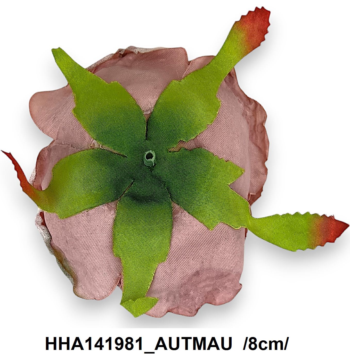 HHA141981_AUTMAU