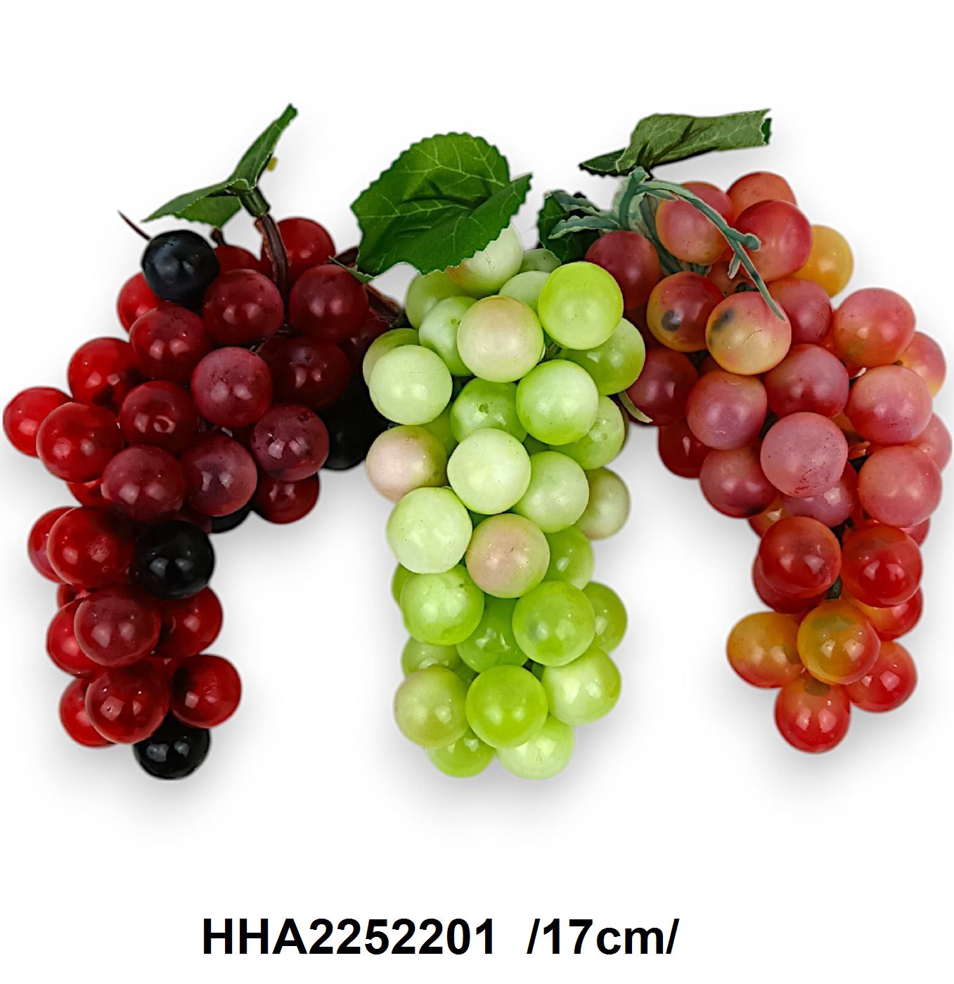 HHA2252201
