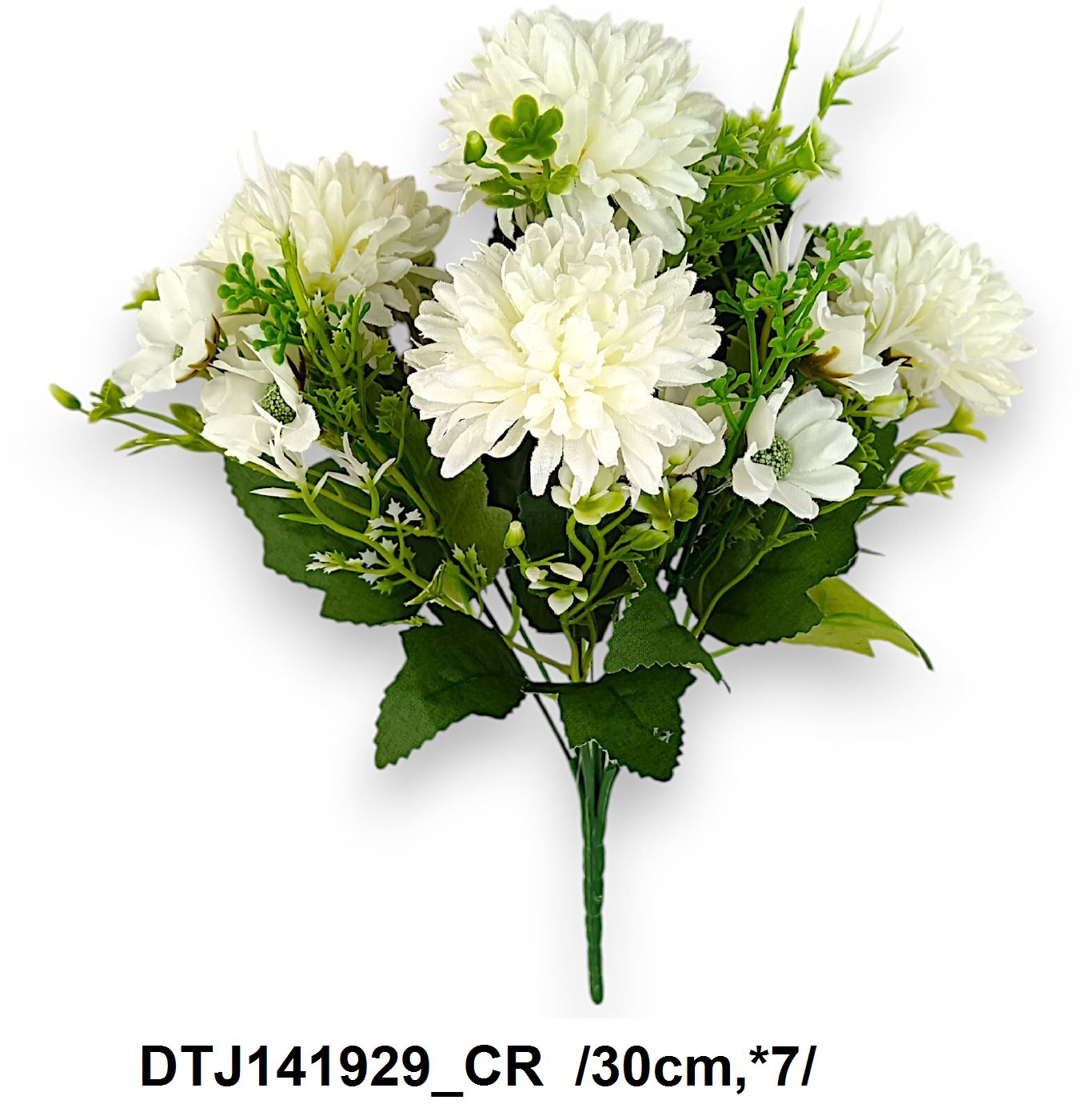 DTJ141929_CR