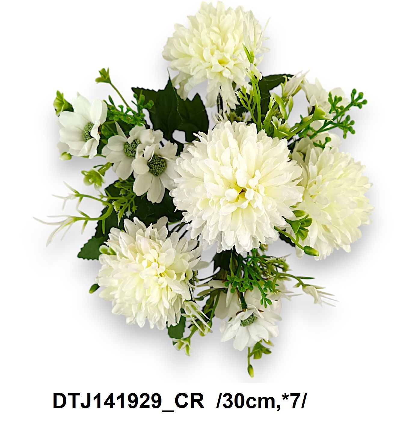 DTJ141929_CR