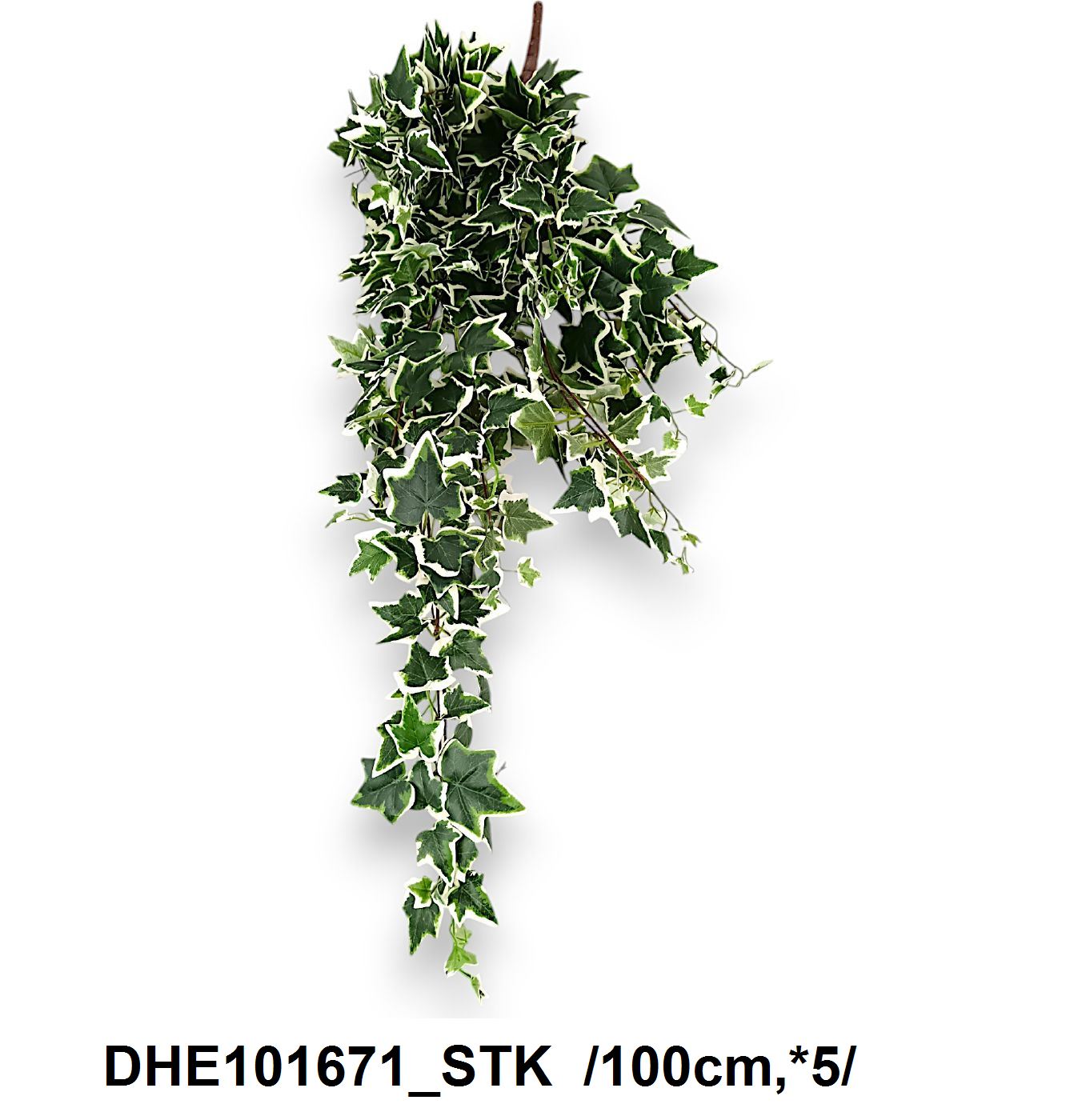 DHE101671_STK