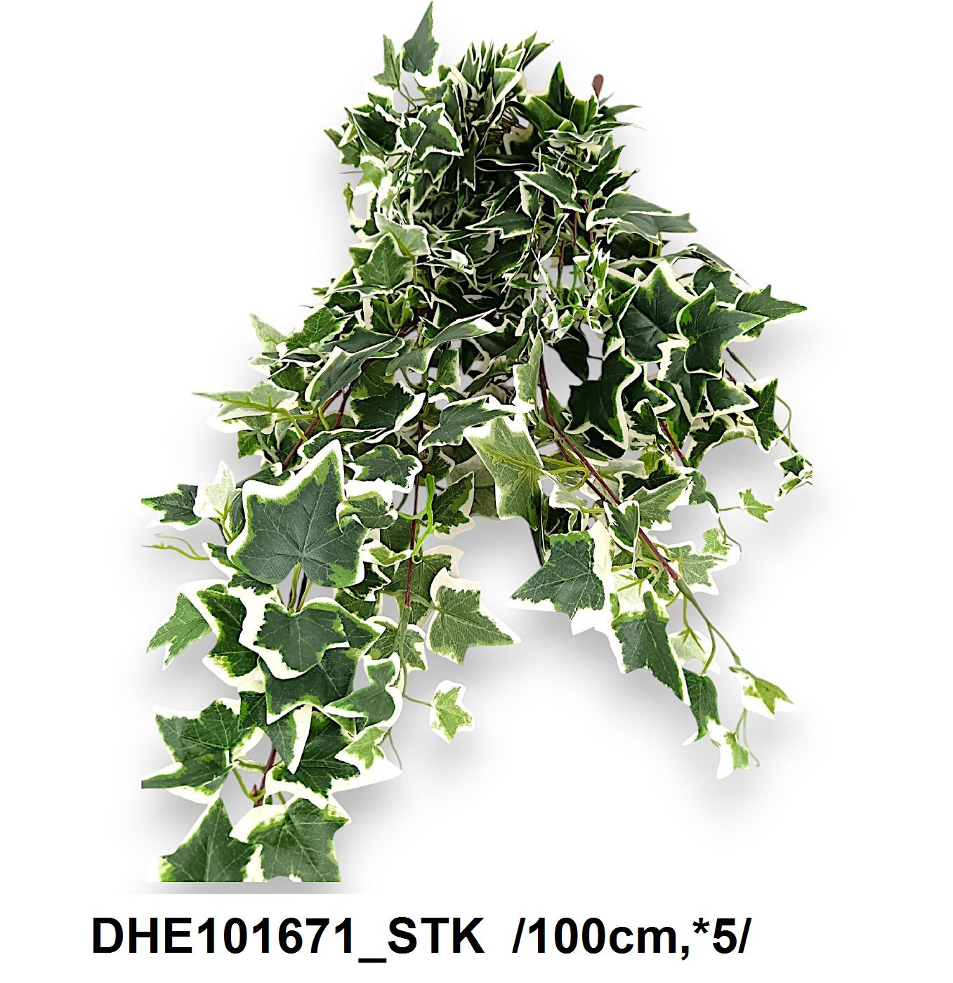 DHE101671_STK