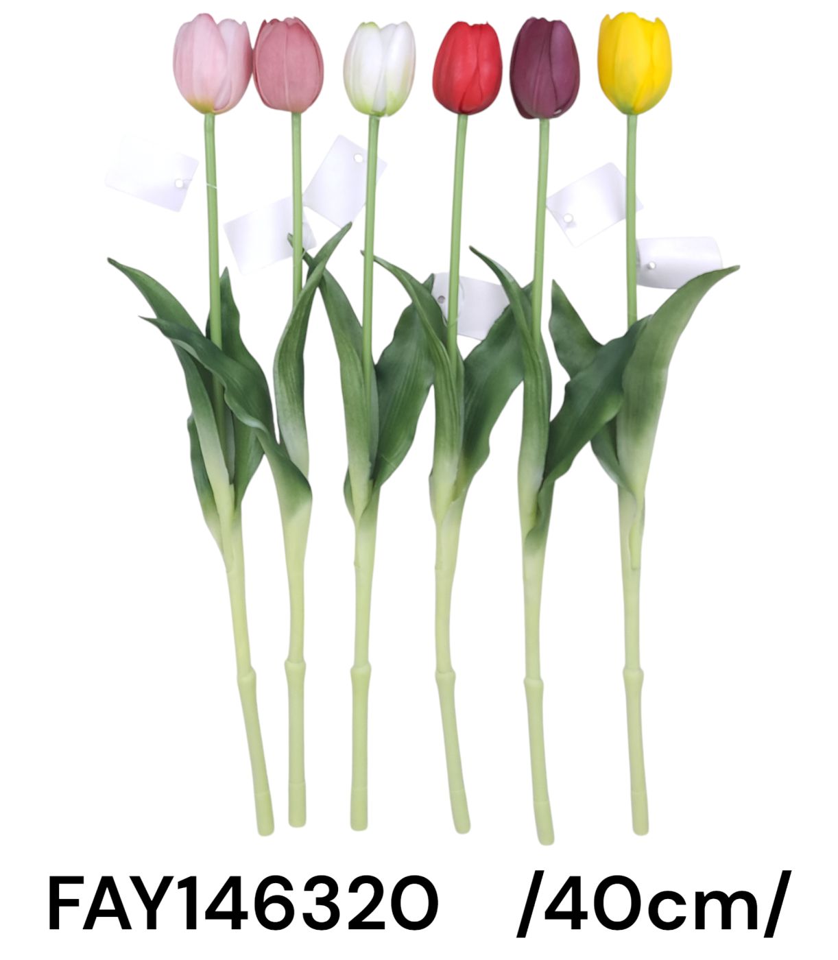 FAY146320