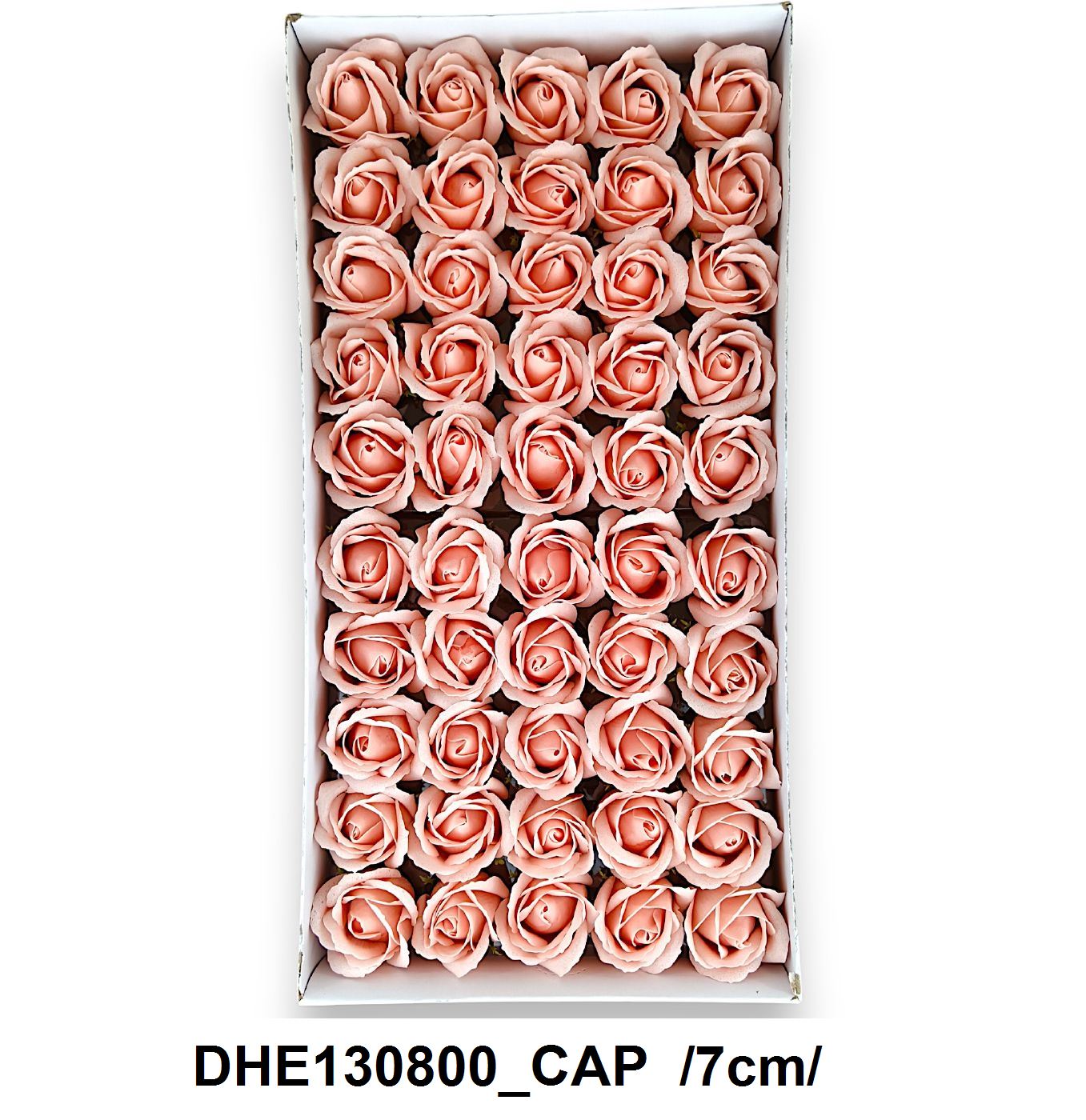 DHE130800_CAP