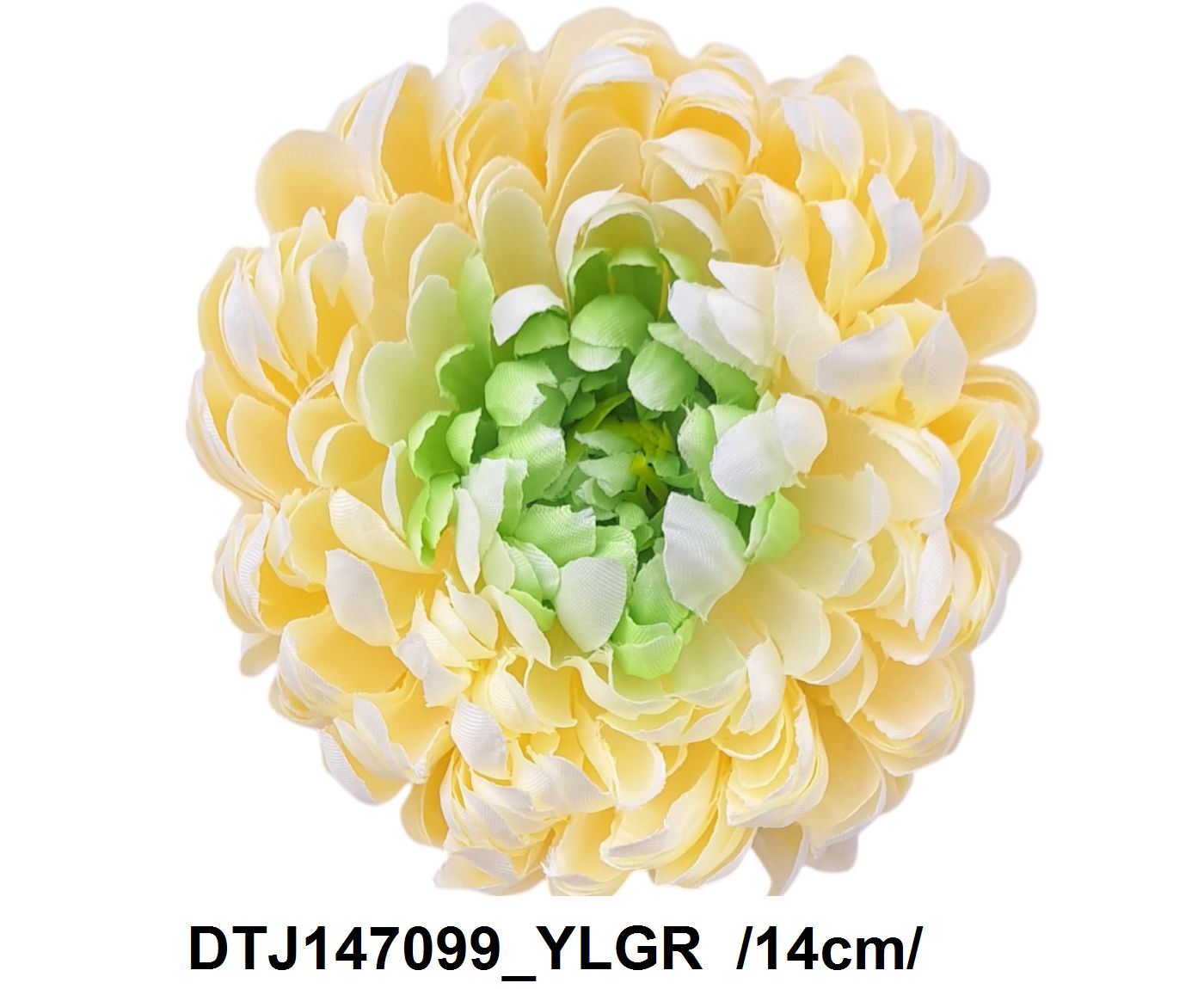 DTJ147099_YLGR